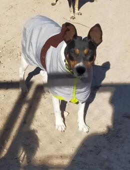 Hugo hätte auch gerne seine Menschen Alb - Ludwigshafen (Rhein)