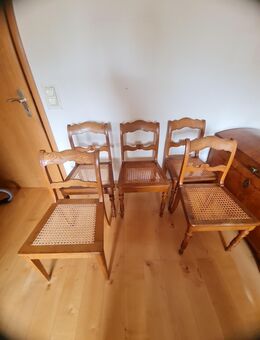 Set (5) antike Korbstühle im Biedermeier-Stil - Rühen