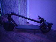 Xiaomi Electric Scooter 4 Gebraucht aber Top Zustand - Darmstadt