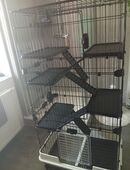 Nagerkäfig in 08412