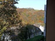 Gepflegte Souterrain-Whg. mit toller Aussicht und kl. Garten - Privatverkauf - Radevormwald (Stadt auf der Höhe)