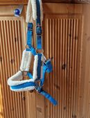 Shomaster Pony Halfter in 41516