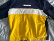 Lacoste Pullover XL Männer 50€ - Nagold
