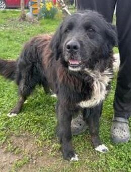 SOLON - freie Bewegung genießen dürfen - Overath