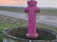 Treffenpunkt ,, Pinker Hydrant '' - Arnstein (Sachsen-Anhalt)