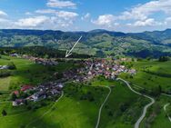 Panoramasicht zum Belchen....2-Zimmerwohnung auf dem Ehrsberg - Grafenhausen