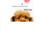 *** NEU *** die Hunde - Groomerei, Dein Hundefriseur hat Termine frei - Weyarn