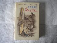 Andre und Ursula,Polly Maria Höfler,Umschau Verlag,1948 - Linnich