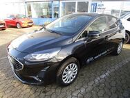 Ford Fiesta Titanium 1,0 EcoBoost 5-türig - Bad Oeynhausen