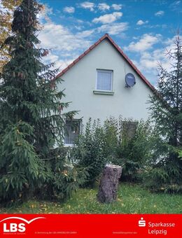 Freiheit pur: großes Haus mit Garten - Kitzscher