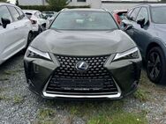 Lexus UX 250h, ||||||, Jahr 2019 - Darmstadt