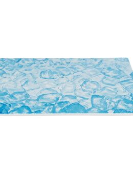 Trixie Kühlplatte für Kleintiere - L 35 x B 25 x H 0,8 cm