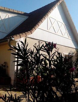 Provisionsfrei: Modernes Landhaus mit 8 Zimmern, 20 min südlich von Potsdam und Berlin - Planebruch