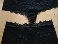 Schöne Spitzen Panties von H&M - Braunschweig