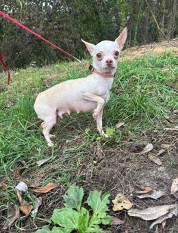 437714 - jetzt darf ich richtig aufleben - Overath