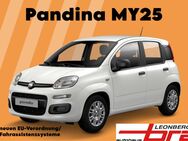 Fiat Panda, Pandina Hybrid MY25 70PS, Jahr 2024 - Leonberg (Baden-Württemberg)