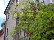 Altes Untertürkheimer Weingärtnerhaus mit Terrasse - Stuttgart