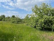 Traumhafte Streuobstwiese in Pforzheim, OT Würm. 3.720 m² - Pforzheim
