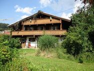 Uriges Bauernhaus n. Regen im Bayer. Wald - Langdorf