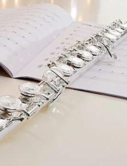 Exam. Musikpädagogin(staatl.Hochschule) gibt Querflötenunterricht (auch online) - Eggenstein-Leopoldshafen