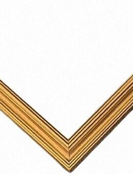 Leerrahmen, Bilderrahmen 40x50 cm Gold. Alle Größen möglich 821 G - Holzminden