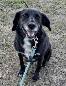 CHARLIE = ein besonderer Hund ♥️ - München