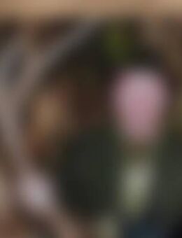 Jae*** - Dessau-Roßlau Waldersee