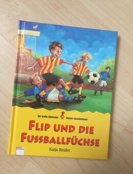 Flip und die Fußballfüchse - Kinderbuch - Bremen