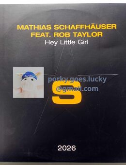 Mathias Schaffhäuser Feat. Rob Taylor – Hey Little Girl 2001 Promo 2x12" Vinyl Trance, Techno, Tech House - München Bogenhausen