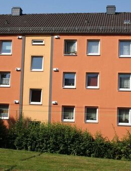 Modernisiertes 1-Zimmer-Appartement - Hannoversch Münden Zentrum