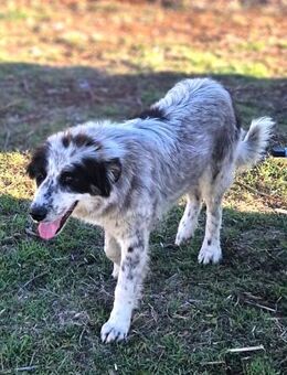 Silvana einzigartig und unkompliziert - Mettmann