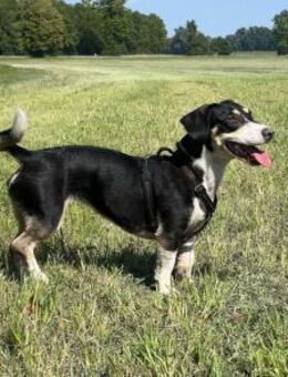 Blueberry sucht ihre Traumfrau - München