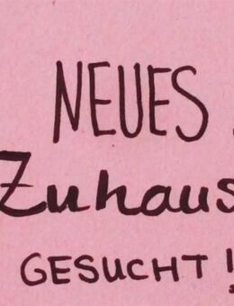 Suche Mietwohnung für solvente Kunde in Lebach und Umgebung - Wadgassen