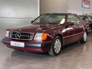 Mercedes-Benz CE 300 Klima/EGSHD/SEC Motorhaube - Dormagen