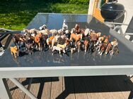 Verkaufe 45 Schleichtiere - Biberach (Riß)