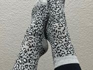 Dreckige ungewaschende Leoparden Socken von mir - Lust zu riechen ? - Friedberg