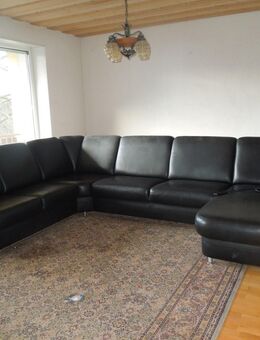 Ledercoutch - Hohenwart