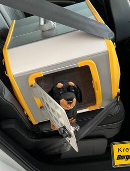 Kleinmetall Hundebox Care2 Gelb*Borgmann* - Krefeld