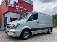 Mercedes-Benz Sprinter 319 CDI BlueTec Standheizg XENON - Gera