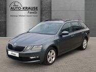 Skoda Octavia, 2.0 TDI Soleil, Jahr 2019 - Billerbeck