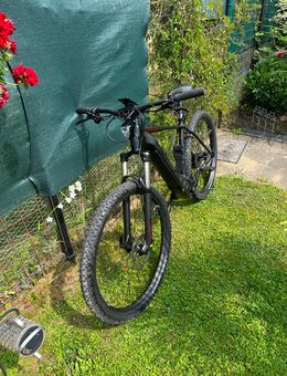 Bulls E-Stream Evo1 Model 2021 750W - Düsseldorf