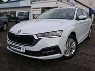 Skoda Octavia, 2.0 TDI Combi Ambition|||, Jahr 2021 - Darmstadt