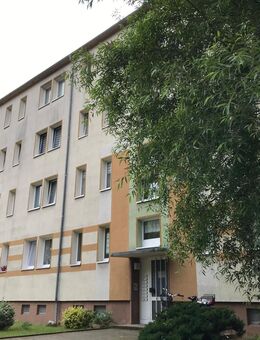 Sanierte Zweiraumwohnung ohne Balkon zum Einzug bereit ! - Bitterfeld-Wolfen