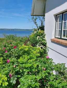 Stilvolles Reetdachhaus mit privatem Wasserzugang, Kamin und Sauna - Gager