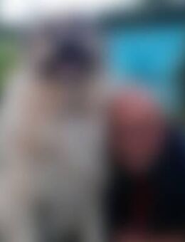 And*** - Korbach (Hansestadt)