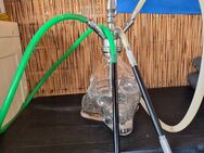 Edelstahlshisha mit Totenkopfbowel - Balingen