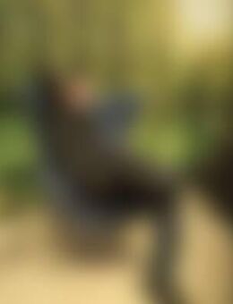 Mar*** - Wolfenbüttel