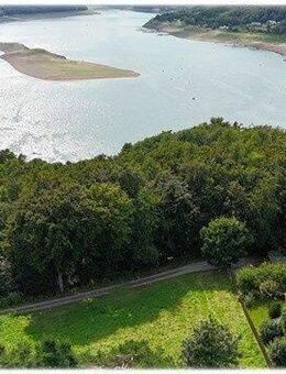 Wohnen, wo andere Urlaub machen - Naturidylle trifft Wohnkomfort am Edersee! - Waldeck (Hessen)