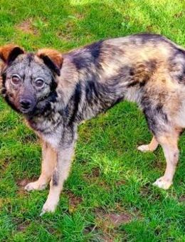 Einzigartig süße Frieda 1 Jahr - Düsseldorf