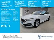 Skoda Octavia, 2.0 TDI Combi, Jahr 2021 - Frankfurt (Main)